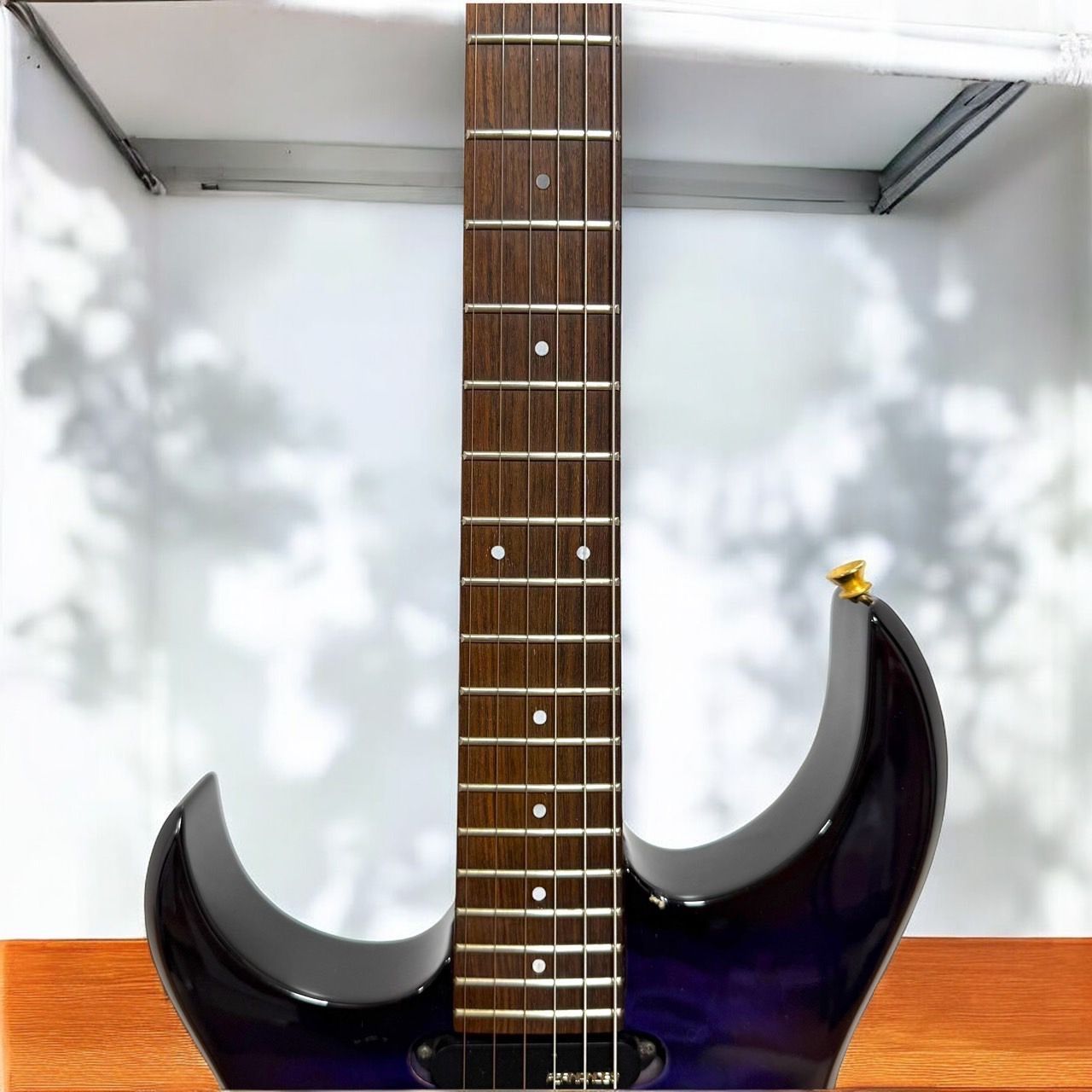 ☆送料無料 美品 希少カラー FERNANDES フェルナンデス FGZ-420