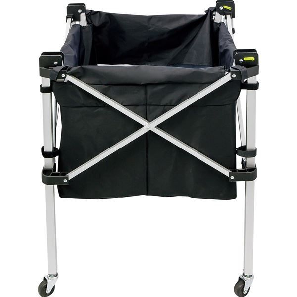 ミカサ フレーム