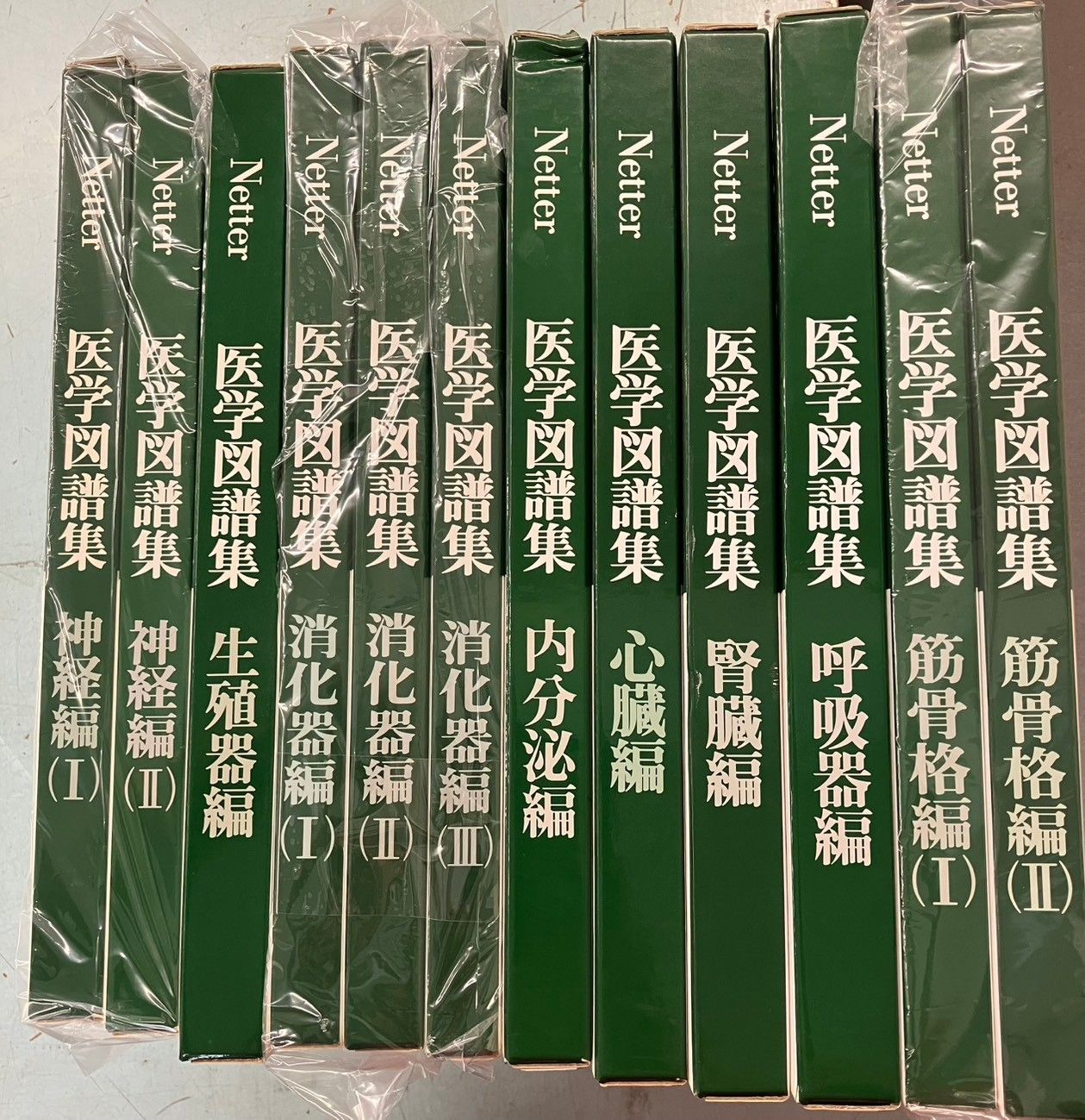 Netter 医学図譜集 計12冊セット 日本チバガイギー 発行 C274上-2