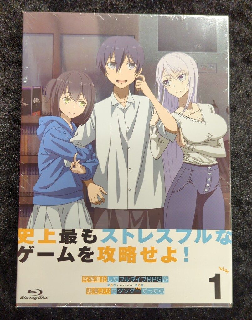 アニメBlu-ray 初回 究 進化したフルダイブRPGが現実よりもクソゲーだったら 全3巻セット