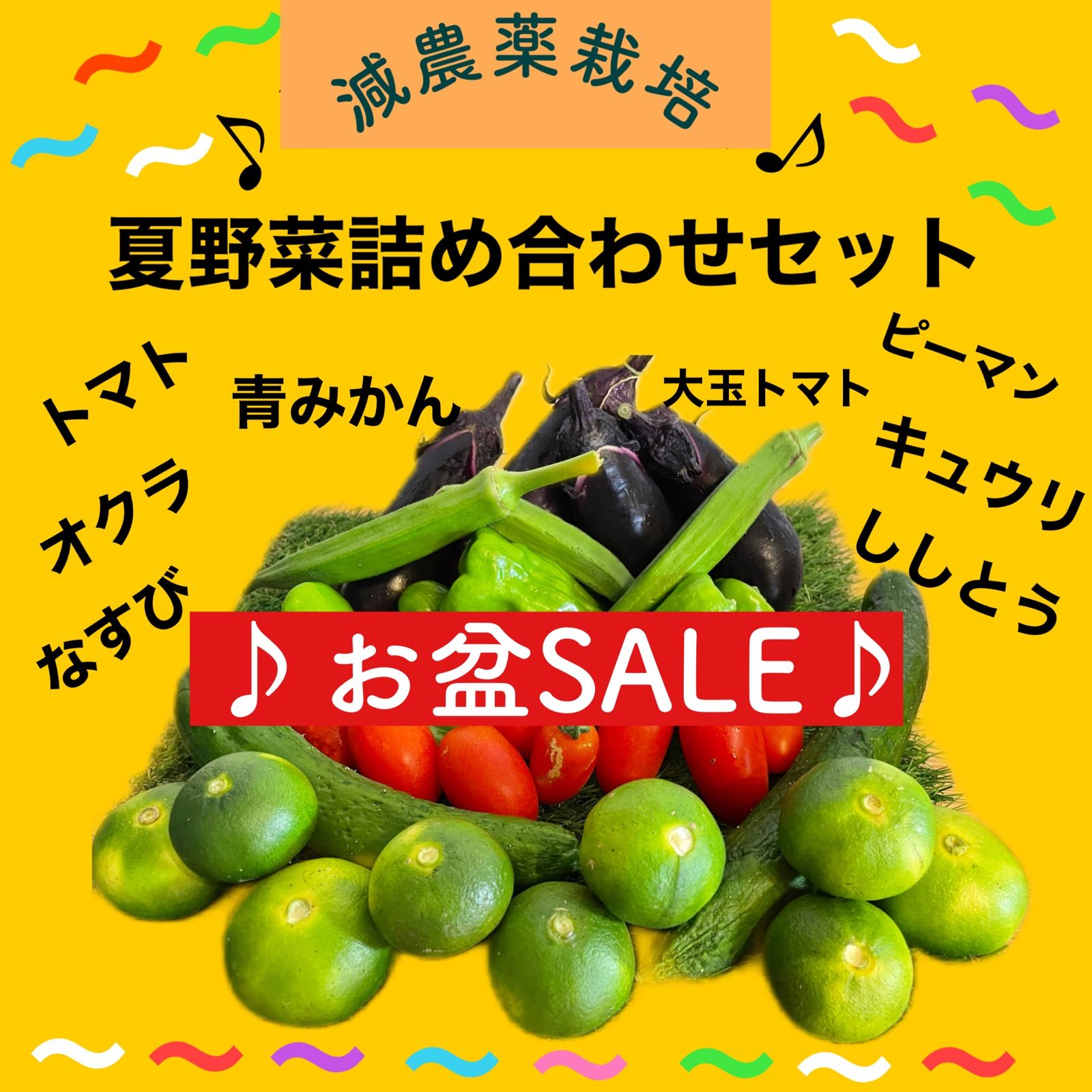 お盆SALE♪ ぽかぽか太陽の味♪ 夏野菜詰め合わせ 80サイズ - メルカリ