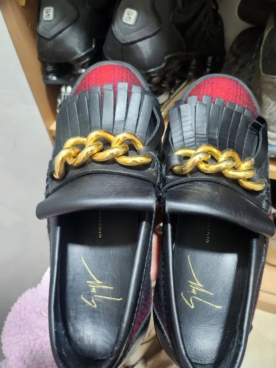 Giuseppe Zanotti(ジュゼッペ・ザノッティ) 35