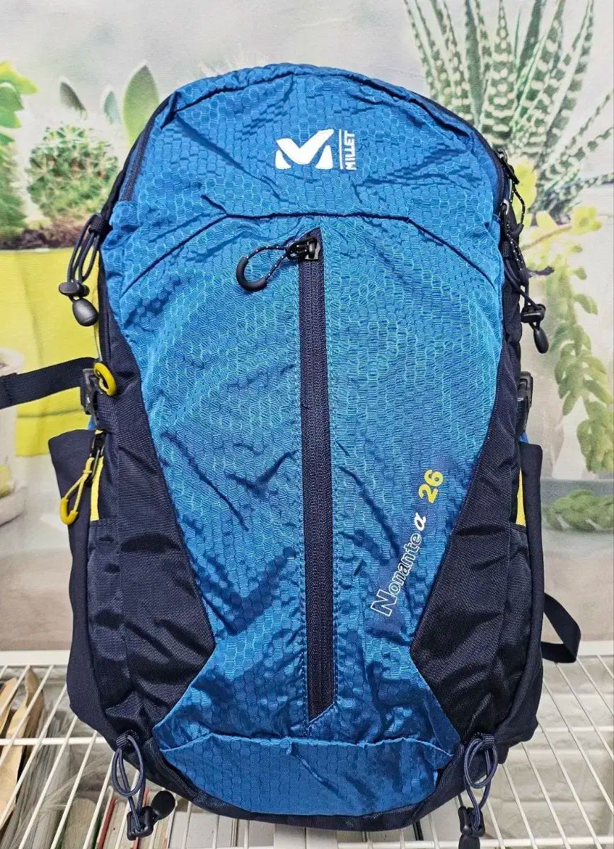 米軍実物 SOC Bugout Bag アサルトバックパック USMC 海兵隊 訳