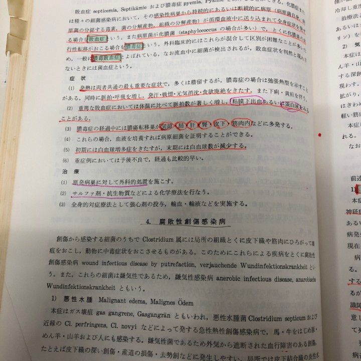 約75冊大量セット|小動物|家畜微生物学|手術|犬猫|動物|外科|内科|免疫|寄生虫病学|生理学|B