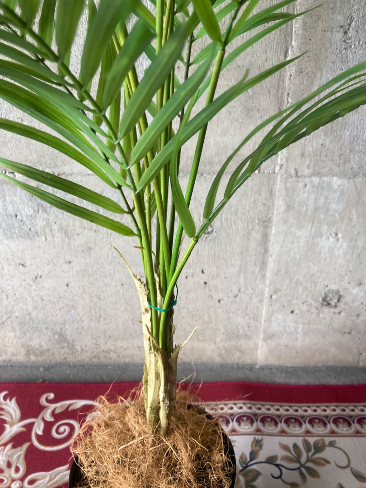 人工観葉植物 ウォールグリーン