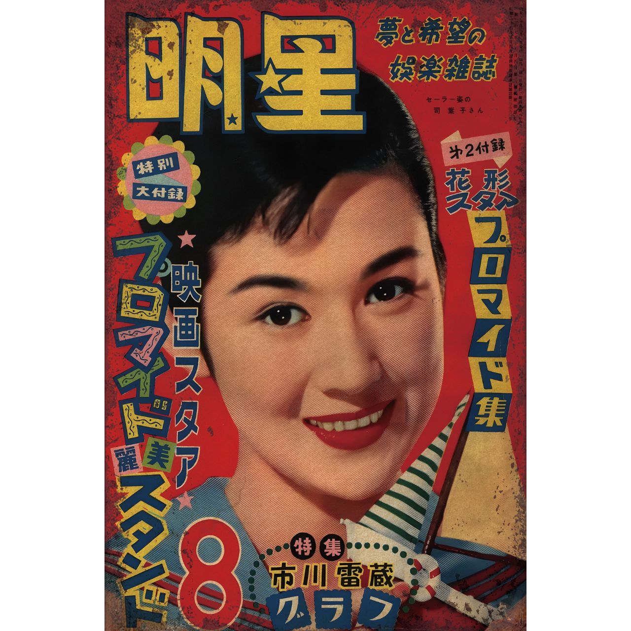 新品 明星 昭和レトロ 映画 女優 雑誌 表紙 ブリキ看板 ポスター 