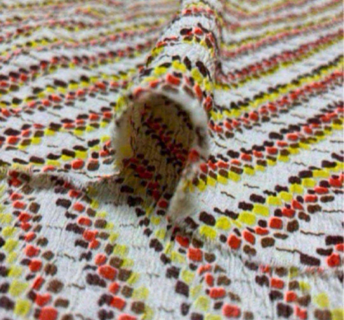 見る角度で二色の濃淡に見える繊細な楊柳(ヨウリュ 国産アパレル綿