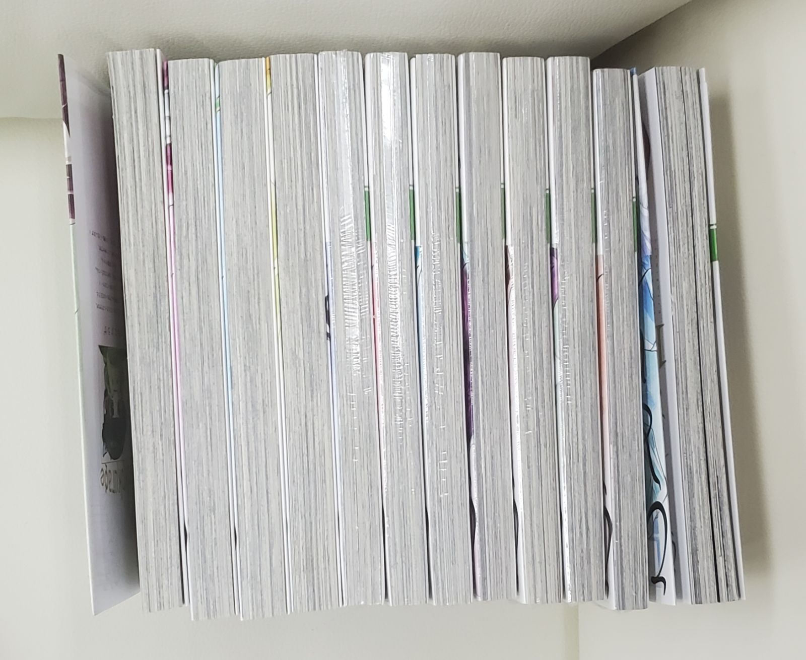 Rodimus様専用 薬屋のひとりごと 直筆ダブルイラストサイン本 ねこ