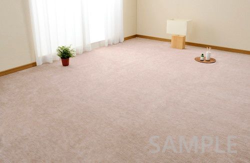 ラウム 団地間4.5帖