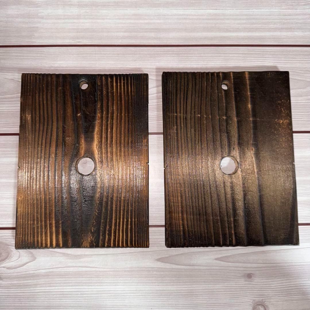 ビカクシダ 着生板 焼杉 24枚 ビカクシダ 板付 コウモリ ラン