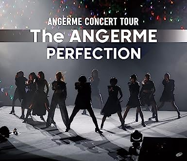 アンジュルム CONCERT TOUR -The ANGERME- PERFECTION(特典なし) [Blu