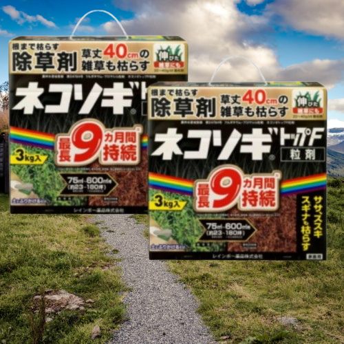 数量 価格 2個セット レインボー薬品 除草剤 ネコソギトップF粒剤 3kg 粒剤 粒 長期持続 雑草