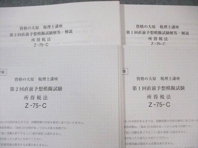 柘植彫 象嵌 根付「花筏 図 水鳥 と 桜の花びら 」 無銘だが名品 桜花