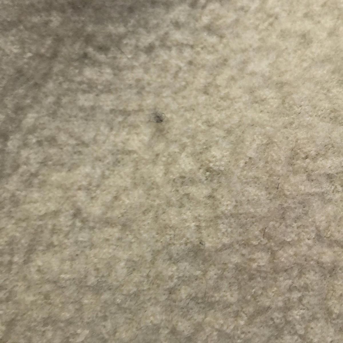 スーパービューティー コート