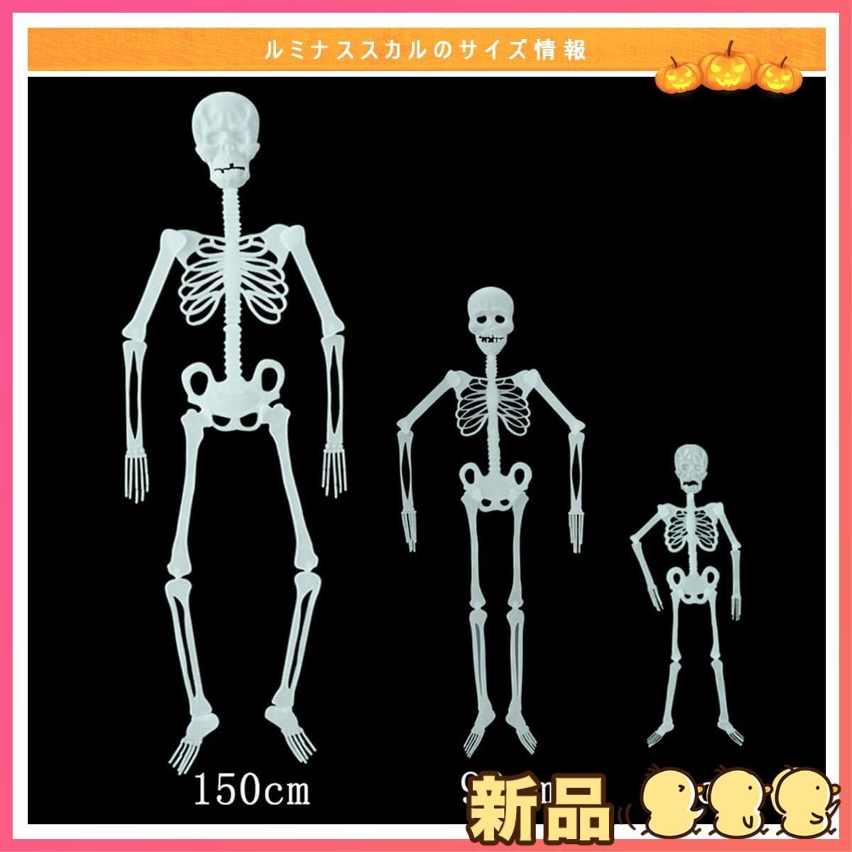 ☆新品☆光る 骸骨 暗闇で光るガイコツ 人体 ハロウィン 飾り ☆新品☆光る 骸骨 暗闇で光るガイコツ 人体 ハロウィン 飾り