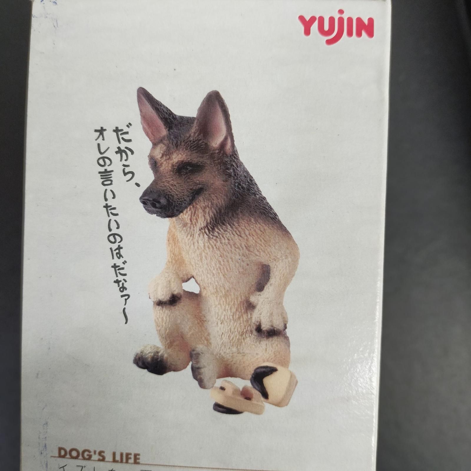 希少 [ 絶版品] 朝隈俊男 シリーズ 犬のくらし キャバリア ブルドック