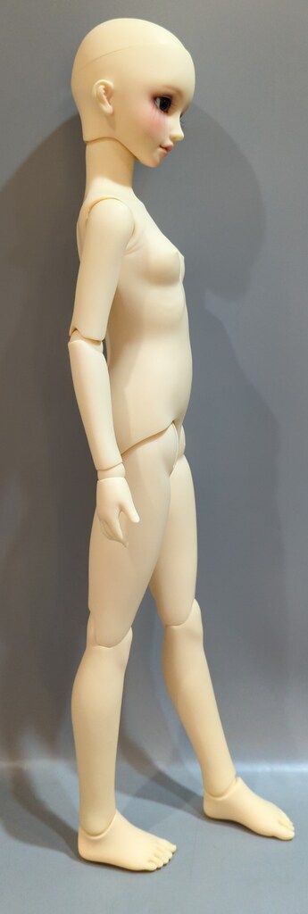 人間 ボークス アダプションモデル SD女の子 サキ フェア