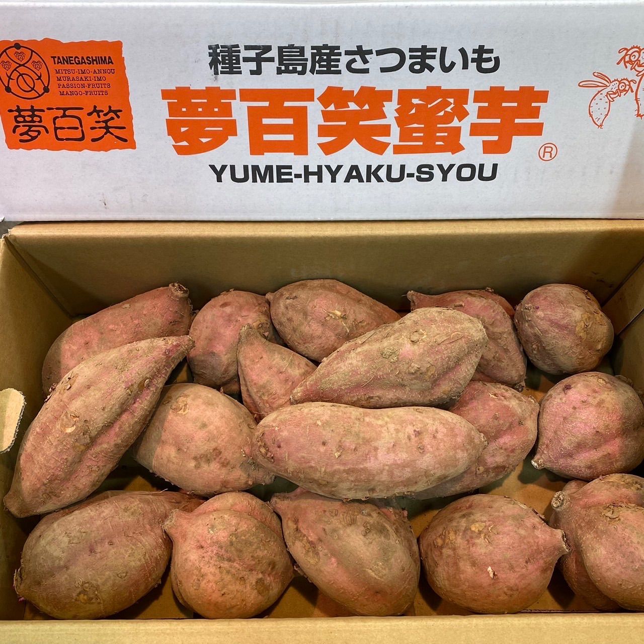 5kg　種子島産　Lサイズ　安納芋　市場から直送【クール便送料込み】　西井商店　メルカリ
