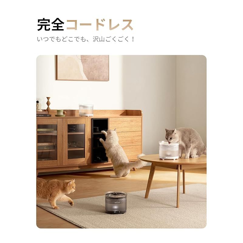 猫 犬