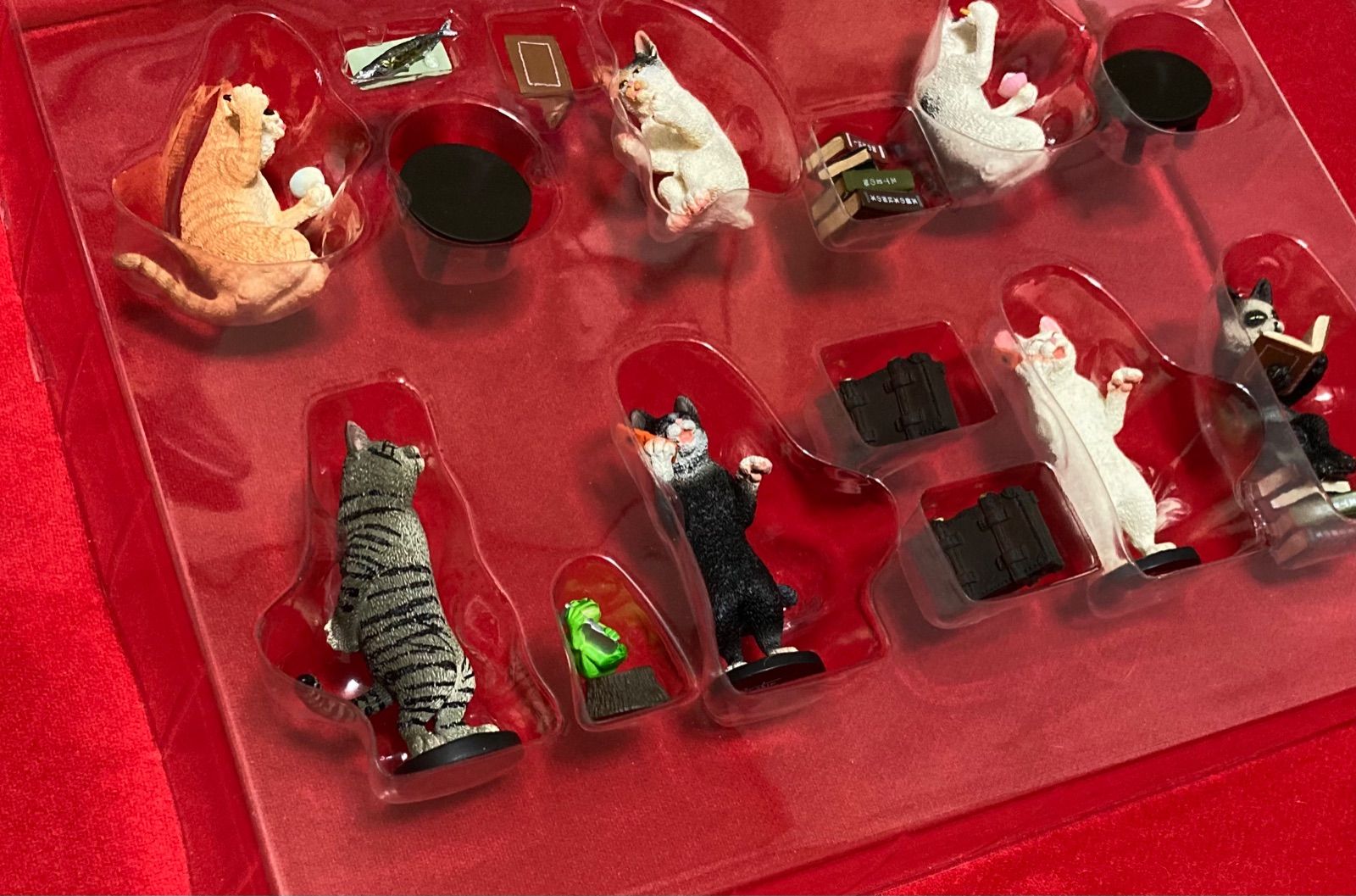 数量限定価格!! ◇ メルカリ - 朝隈俊男『猫のくらし』パンダ猫&コレクションBOX その他