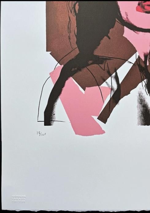 枚数 アンディ ウォーホル リトグラフ ミック ジャガー 28|100 IMPECCABLEHEALTHCARESERVICES_COM