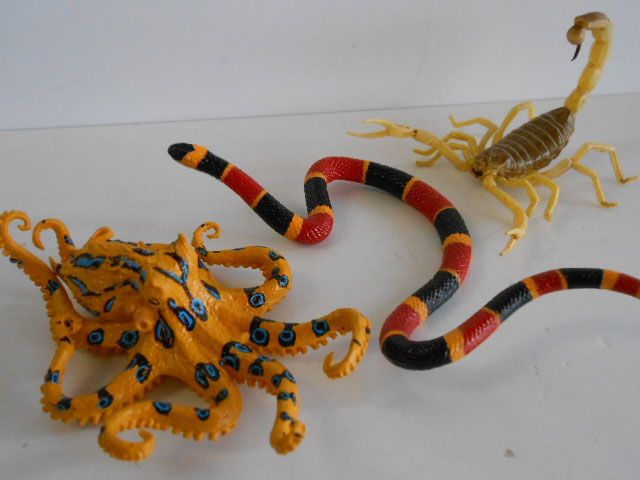 ♯Kti16CtカプセルQミュージアム有毒危険動物大全