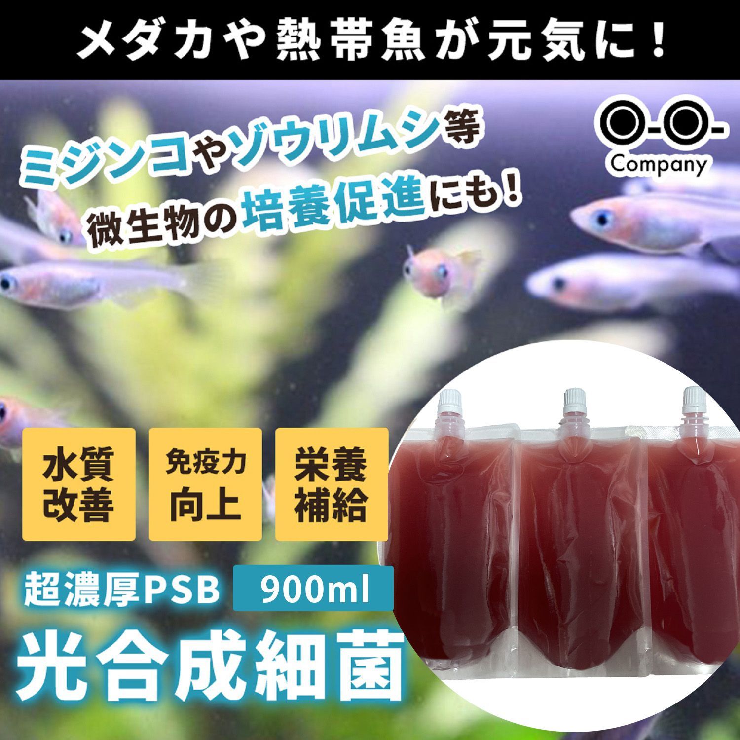 特濃 PSB光合成細菌 2.0L 関連:めだか金魚免疫強化水質浄化クロレラ1D