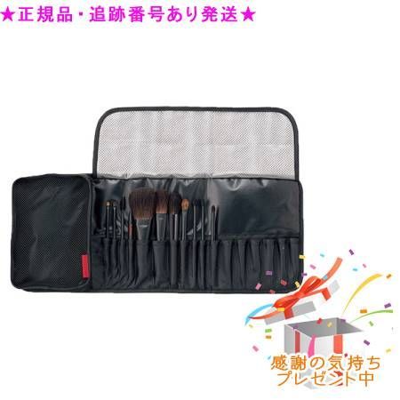 Naris ナリス プロフェッショナル ブラシセット プレゼント付