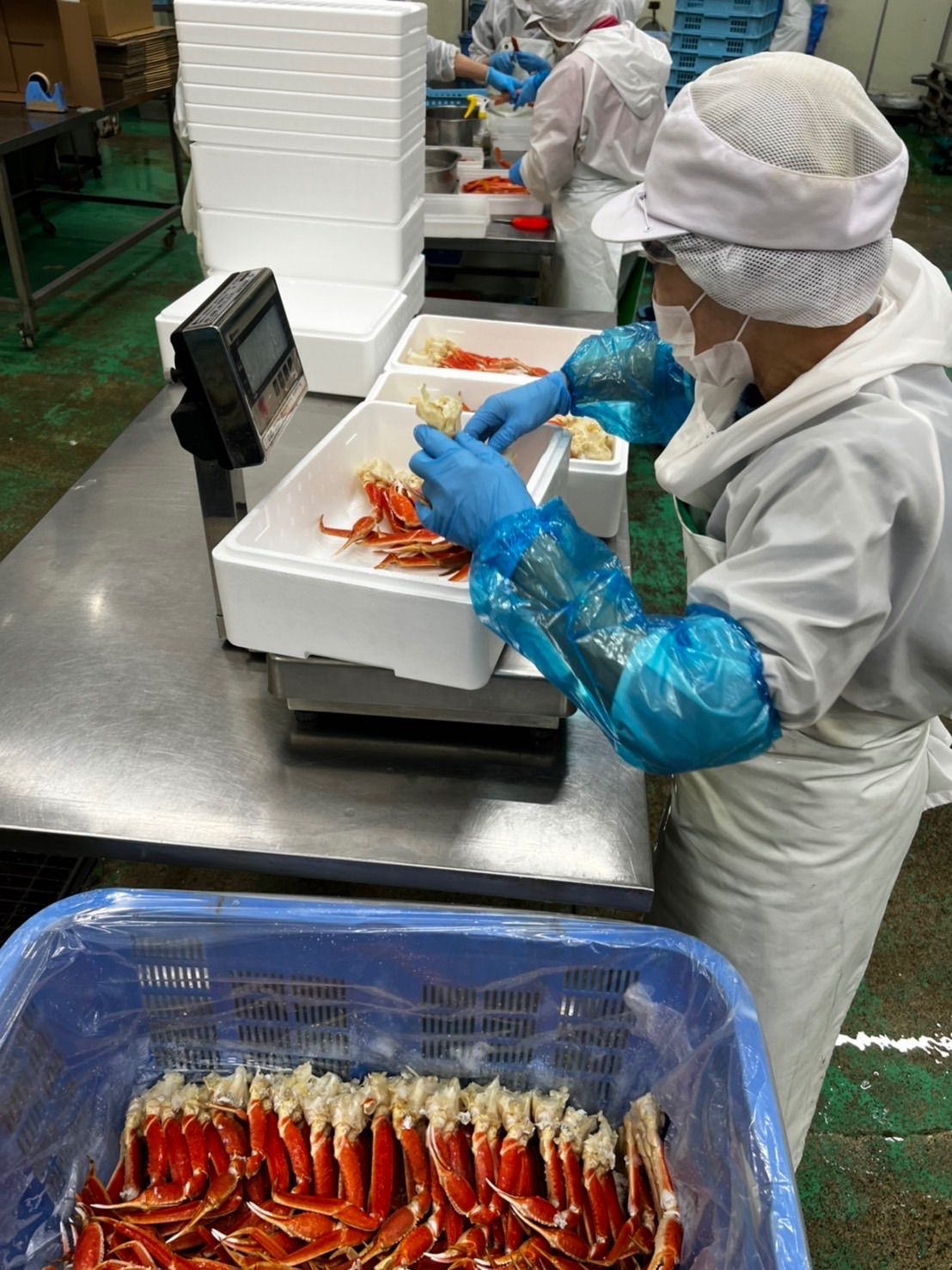 上 本ズワイ蟹足2kg?