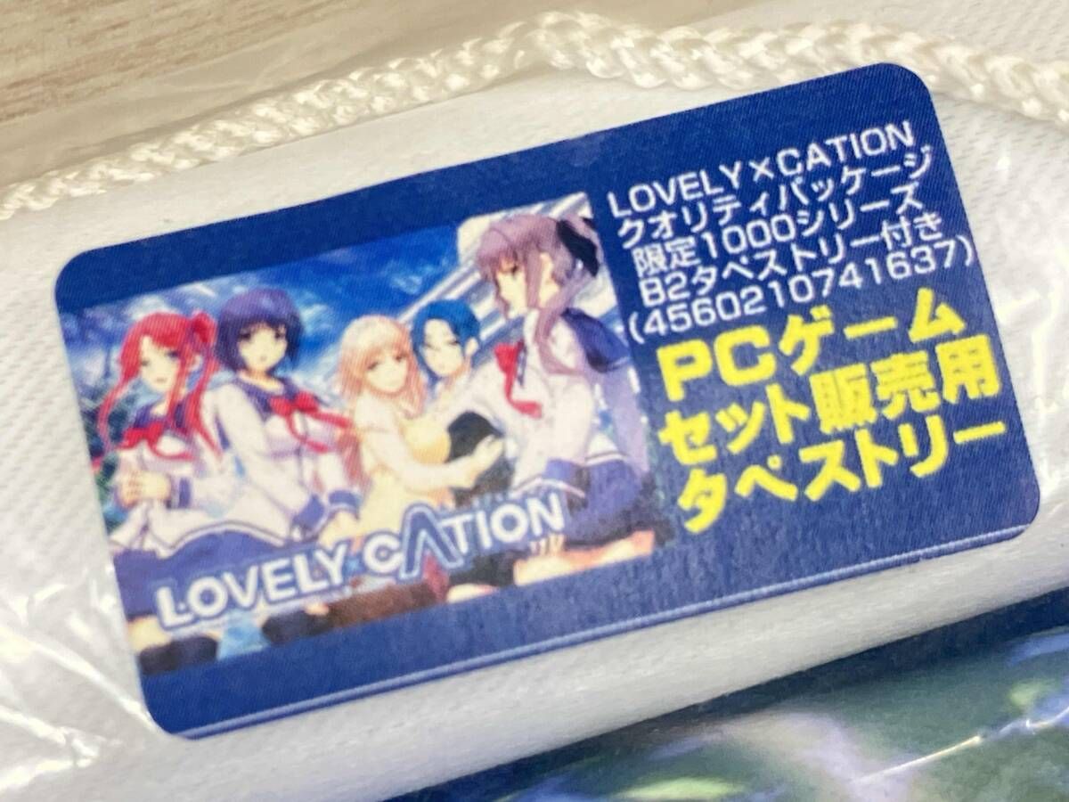 LOVELY×CATION B2タペストリー LOVELY×CATION2 : タペストリー - 新妻 