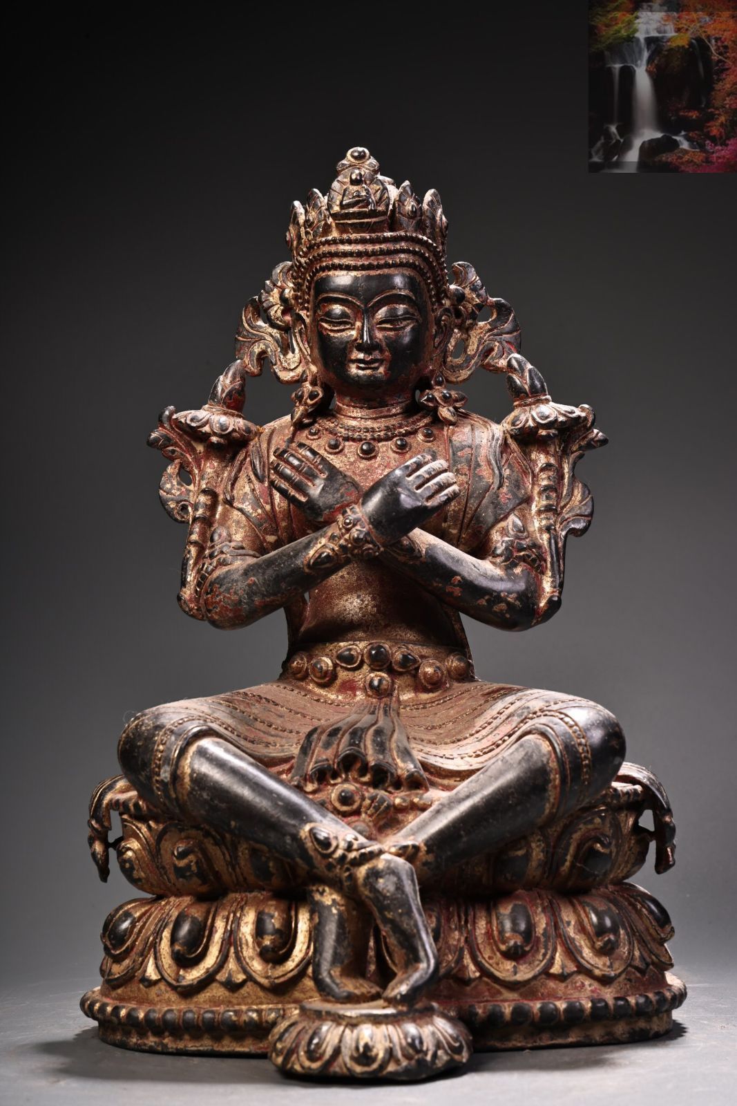 村山輝記製作・クワガタ標本 トカラノコギリクワガタ全島 村山輝記製作