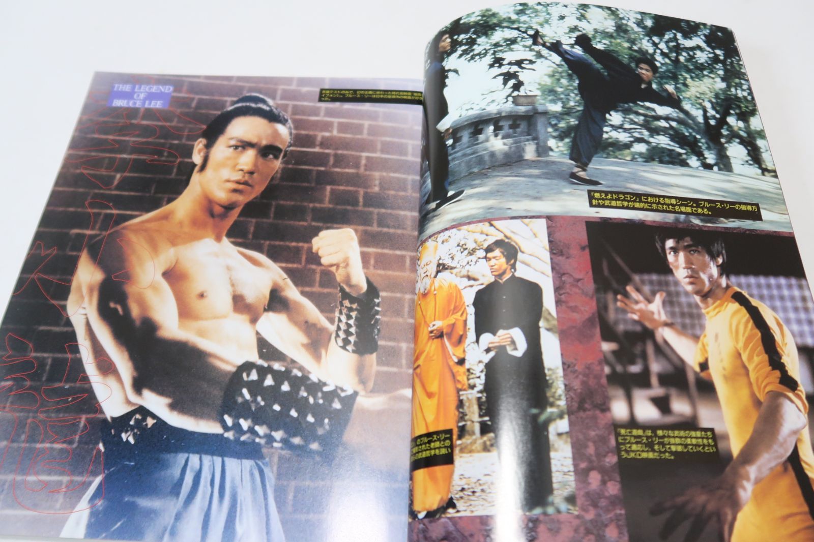 ブルース・リージークンドー公式マニュアル/膨大な連続写真