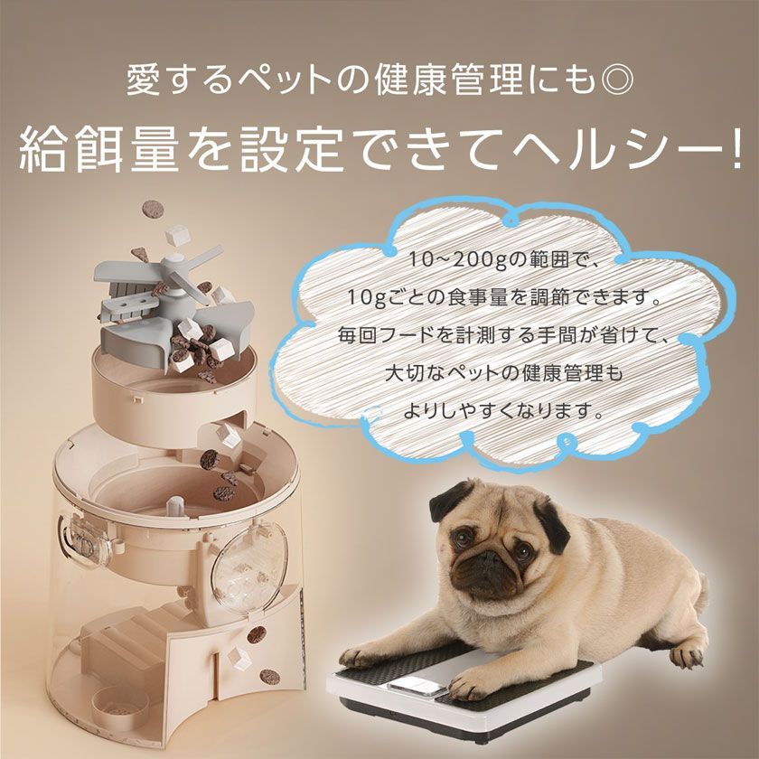 ペット