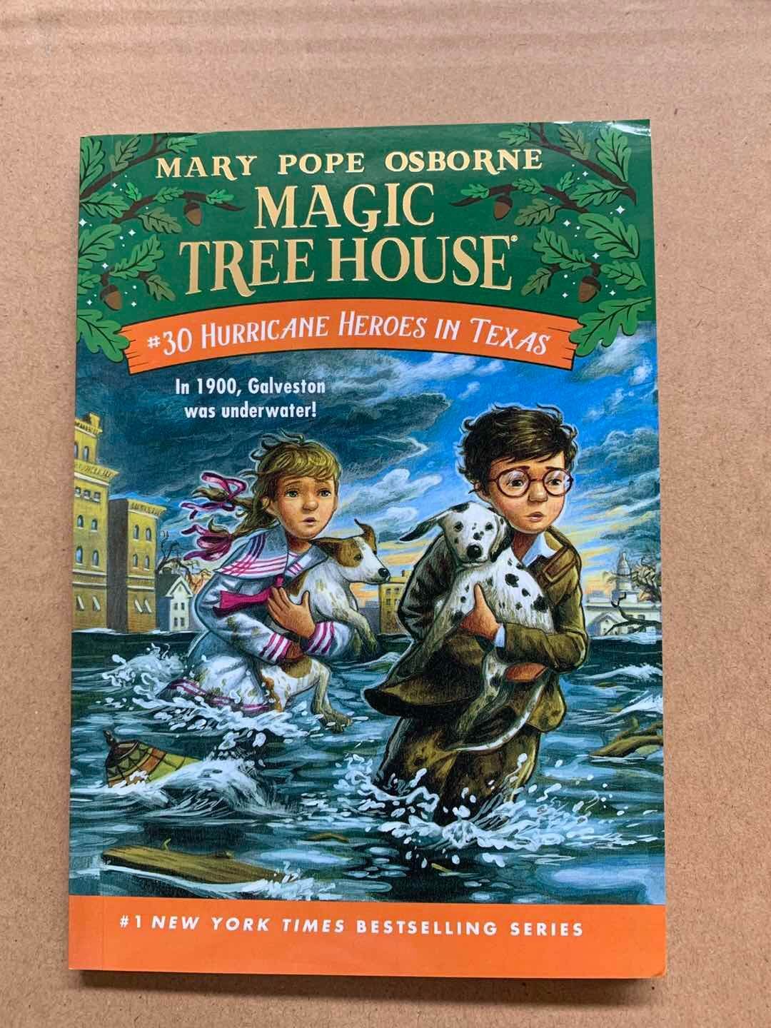 英語 多読Magic Tree House 1-28巻セット - 洋書