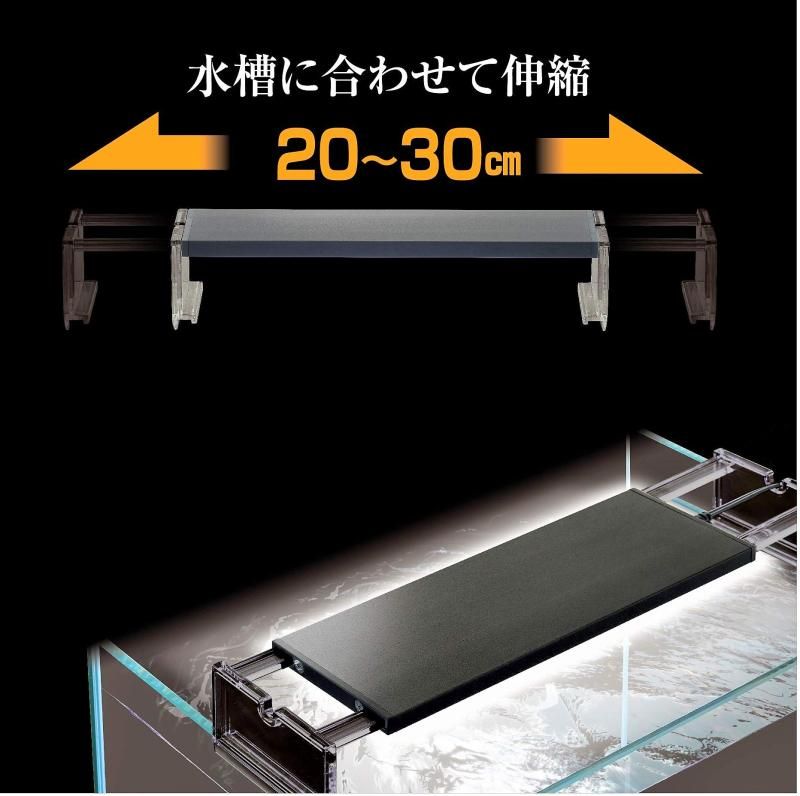 モノノ怪 15周年 和紙風缶バッジ 風間雷太 アニメ「モノノ怪」十五周年