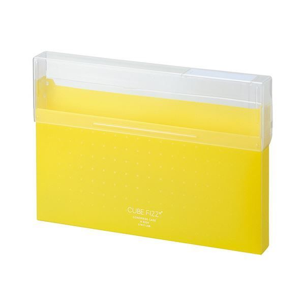 まとめ リヒトラブ CUBE FIZZコングレスケース A4 イエロー A-6024-5 1個 ×30セット