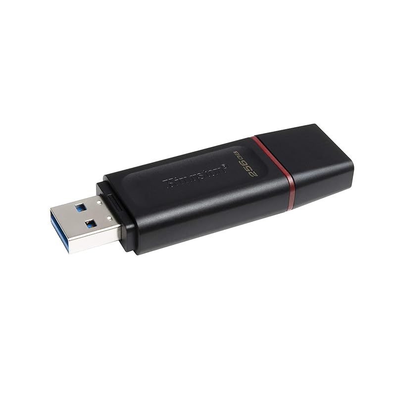 キングストン Kingston USBメモリ 256GB USB3.2(Gen1)/3.1(Gen1)/3.0 キャップ式 DataTraveler Exodia DTX/256GB
