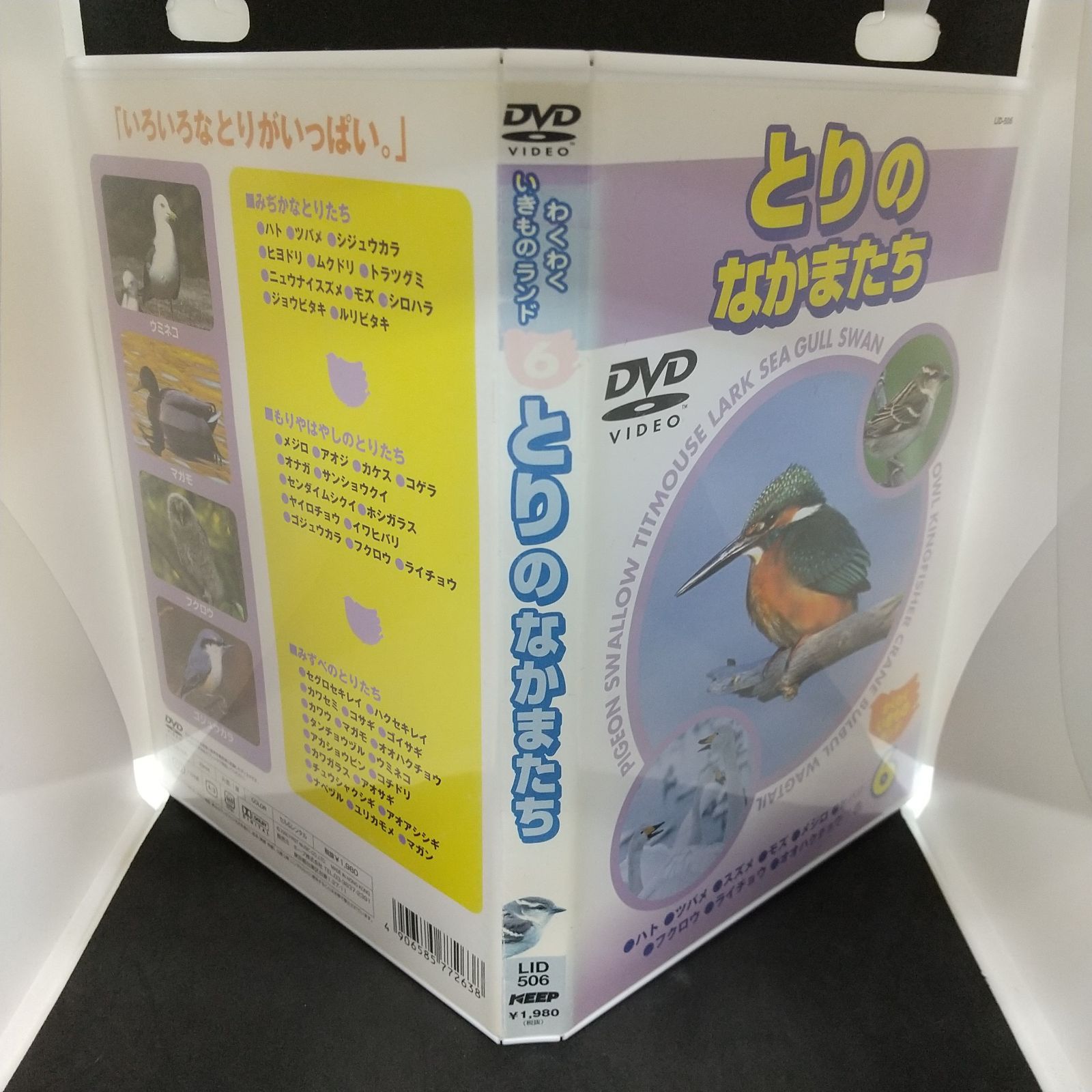わくわくいきものランド6 とりのなかまたち レンタル落ち 中古