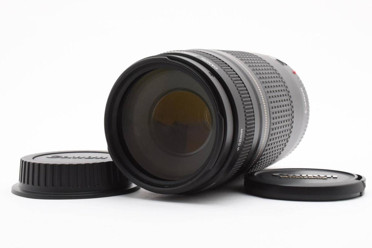 キヤノン CANON EF 75-300mm F4-5.6 II T3 3953