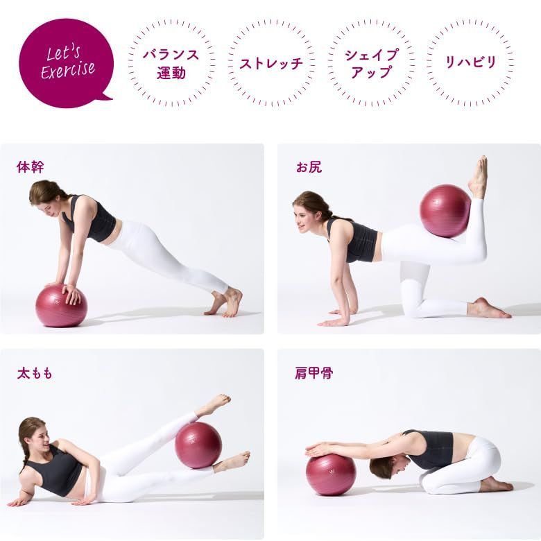 エクササイズボール 家庭用 ンス運動 エクササイズ ヨガ フィットネス ストレッチ 運動マニュアル付き 空気入れ付き 軽量 スツール 75 cm 65 55 30 椅子 ンスボール アルインコ ALINCO スイスボール 体重計