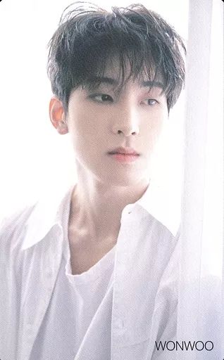 中古】コレクションカード(男性) SEVENTEEN/WONWOO(ウォヌ)/CD