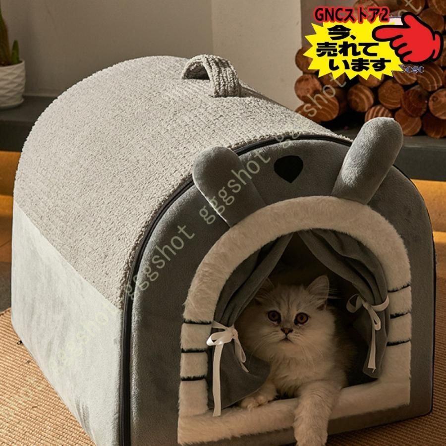 テント