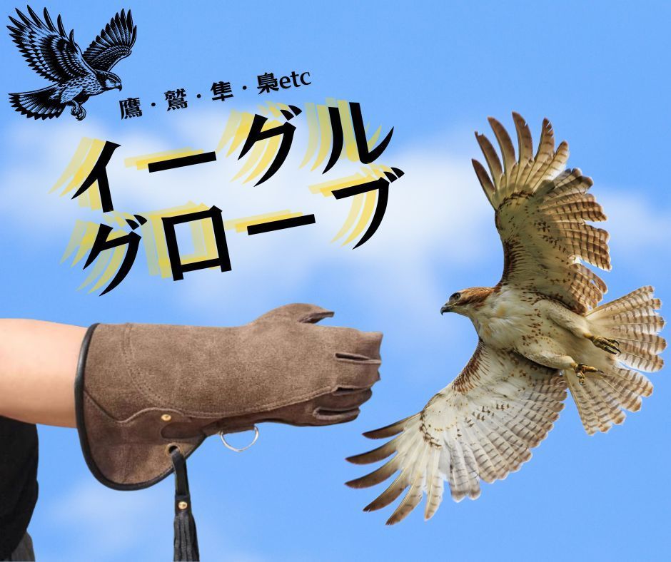 隼 フクロウ