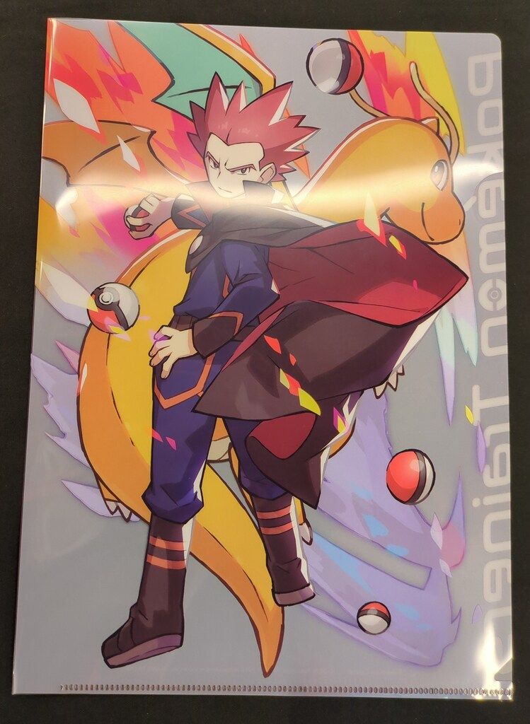 N ダイゴ ワタル A4クリアファイル3枚セット ポケセン ポケモン ワタル ダイゴ N クリアファイルセット PokémonTrainers