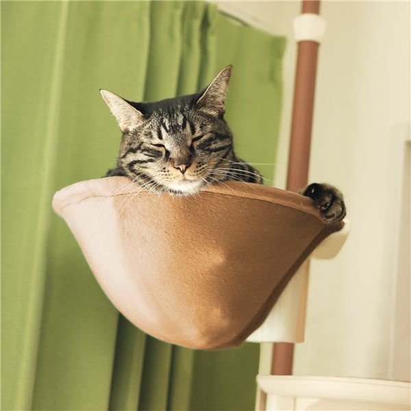 キャティーポールハンモック