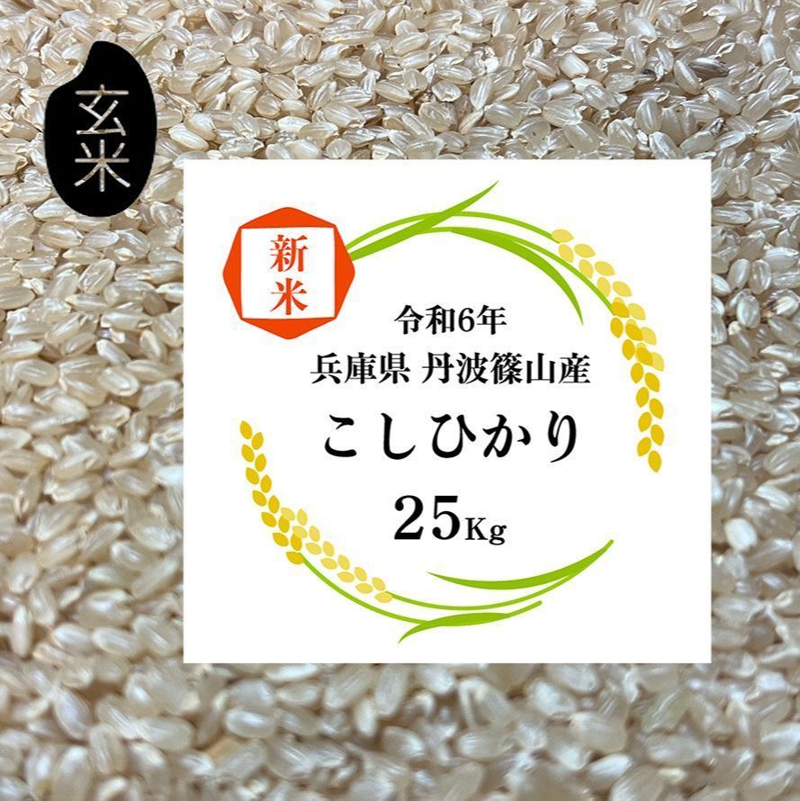 令和六年度 兵庫県産 コシヒカリ 玄米