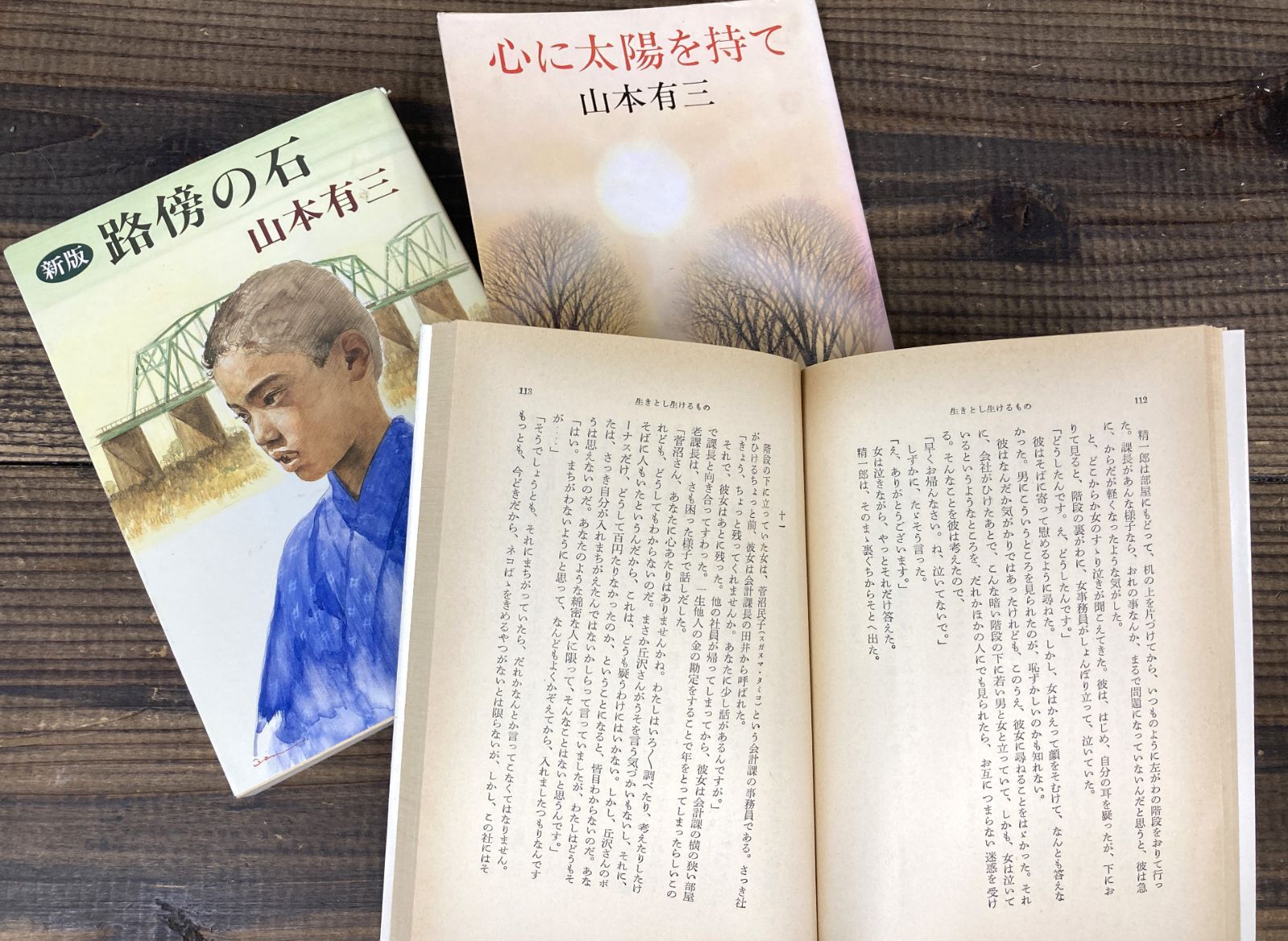 【山本有三☆文庫本3冊セット】路傍の石／生きとし生けるもの／心に太陽を持て