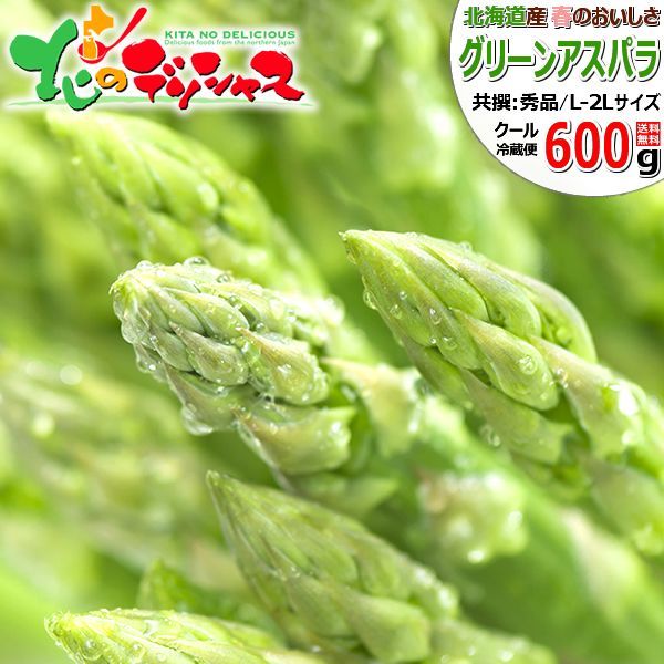 【出荷中】 北海道産 アスパラガス グリーンアスパラ (L-2Lサイズ/600g) 春の味覚 アスパラ グリーンアスパラ グリーンアスパラガス 野菜 ギフト 贈り物 お祝い プレゼント ご家庭用 北海道 グルメ お取り寄せ
