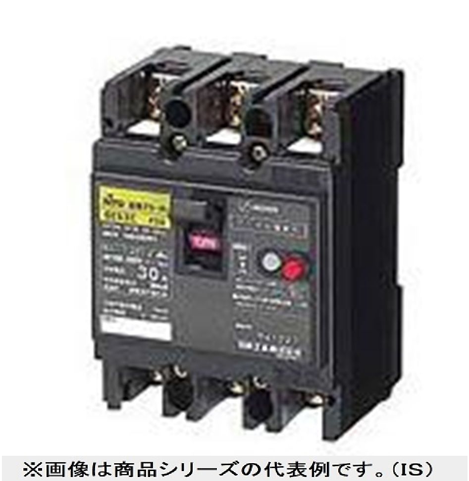 漏電ブレーカ 2P10AF30 30ｍA AC100-200Ｖ両用 モーター保護兼用 GE52C2P10AF30