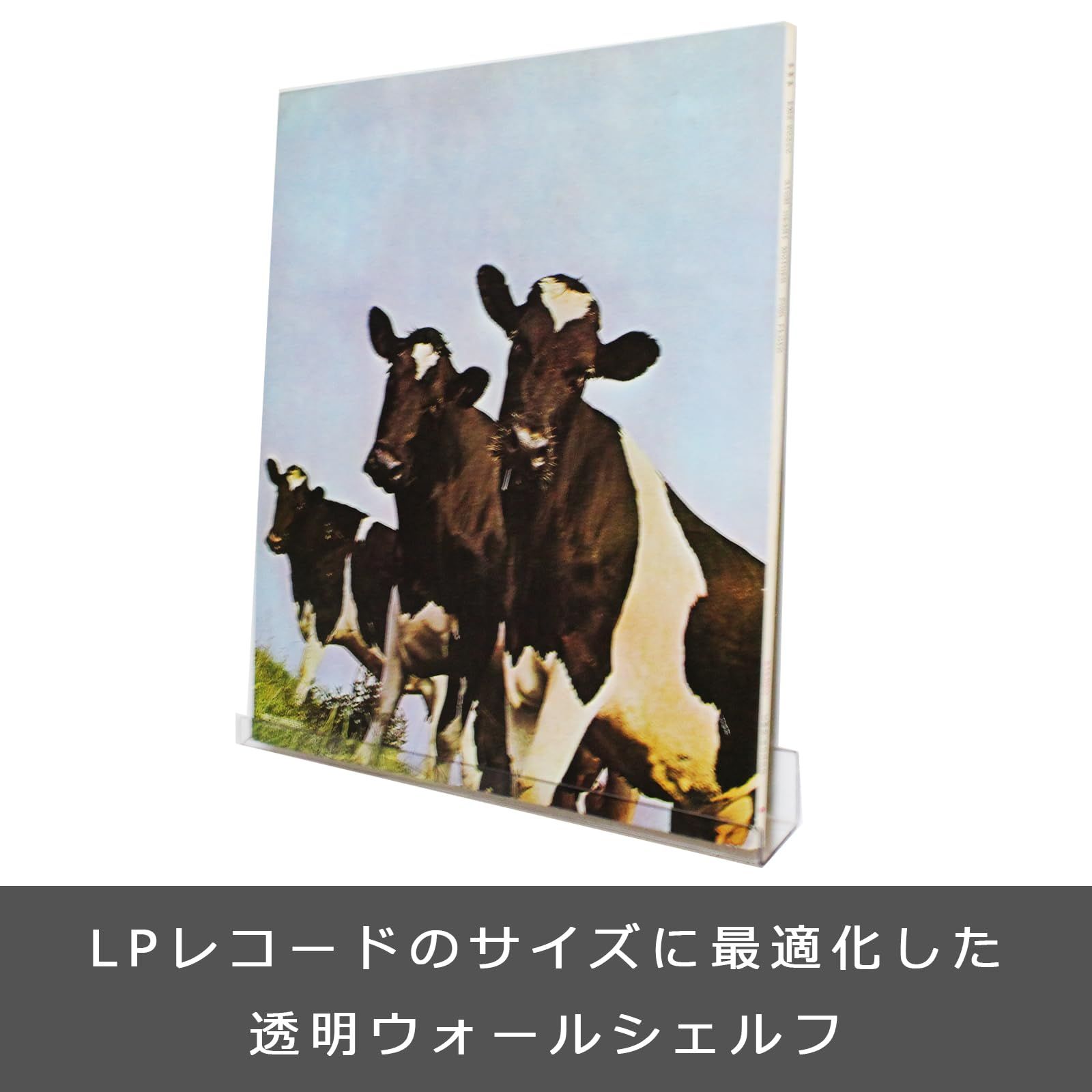 新品 LBストア 倒れにくい LP レコード用 壁掛け 透明 ディスプレイラック 石膏ボード壁専用 傾斜棚 (4)